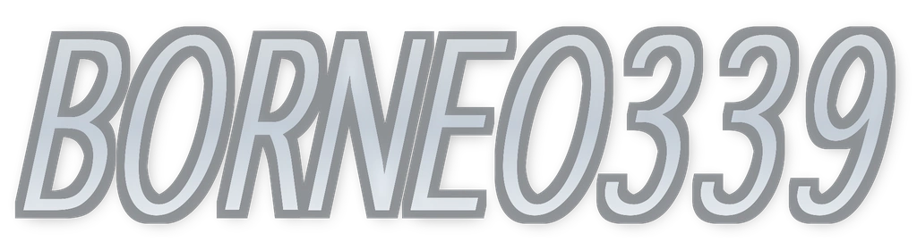 Logo BORNEO339
